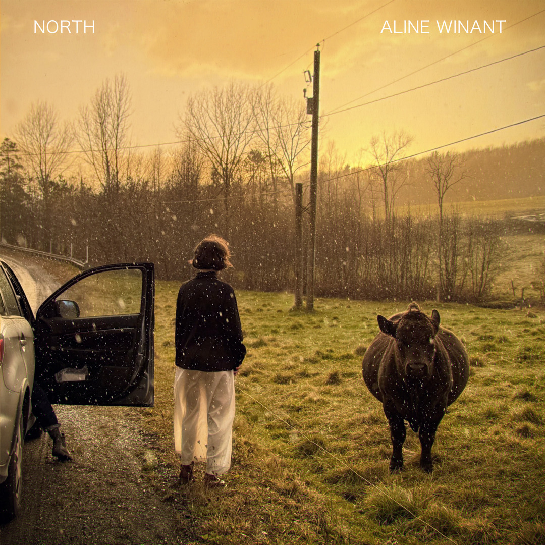 Winant Stream Aline Winant | Listen to North playlist online for free on ...