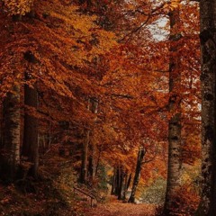 (Jack frost) Charlie slang by second sun recordings Charlie .wav