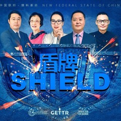 #盾牌 #使徒行传 第四章 1一21节 彼得和约翰这么有胆量的秘诀是什么？