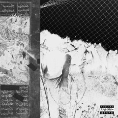 Hyena Freestyle Prod. Lil $wedden