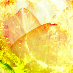 ruins of past memories