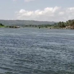 Judah Tribe Is Inside Of Babylon's Belly - Francis Frazier 1954