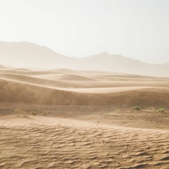 Lost In The Sands