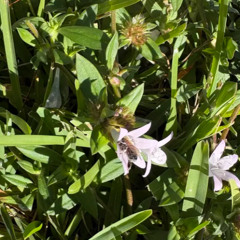 Change Part 2 [PROD. Bashful]