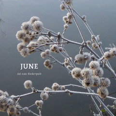 JUNE (composer/performer)