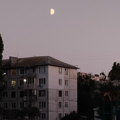 Пожалуйста, только не домой - Автоспорт