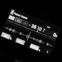 Patient Gemini (Ethno/Elektro/Downtempo/Folktronika - Tracklist in Description)