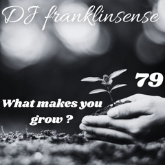 Dj Franklinsense + What makes you grow? + Trip - Hop Mix No.79