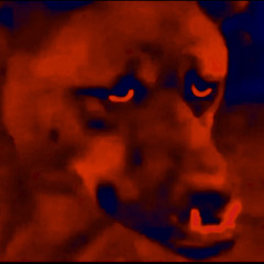 The Blindside (prod. nevv!)