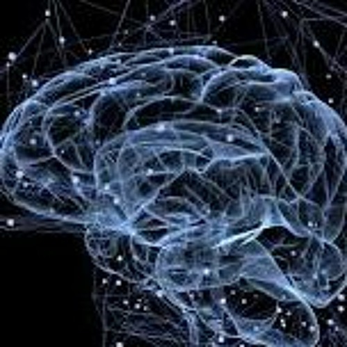 Dough Factory & Reda_V- Quiet Heart Loud Mind