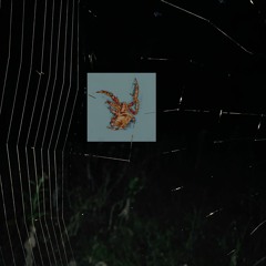 Asphyxiation//Bereave//Nihility