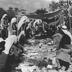 BedouinDrone  - Al-Faluja