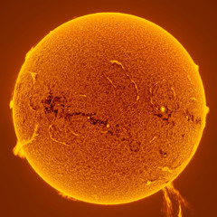 Vol. 20 - Solar Embrace