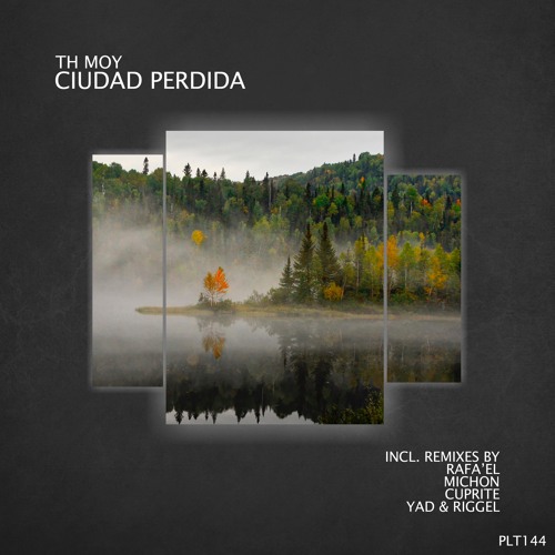 Premiere: Th Moy - Plastic (Original Mix) [Polyptych]