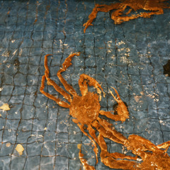 Heebie Jeebies [+NSS]