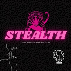 Fierce Idaho Stealth 2026