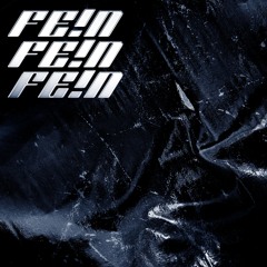 FE!N