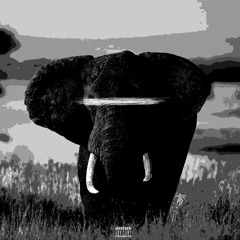 ELEPHANT W/ KID THRAXX