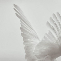 я вижу тебя насквозь