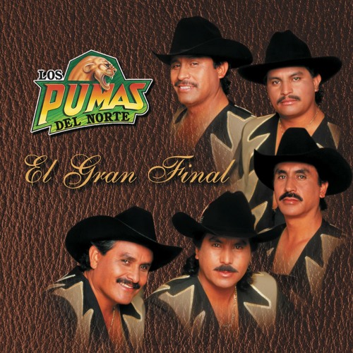 Stream Los Pumas del Norte | Listen to El Gran Final playlist online for  free on SoundCloud