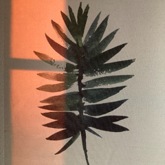 Ecstasy 2025 || Kauz Kühlbox