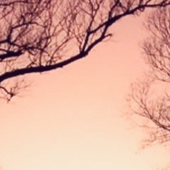 Meanwhile in CR Maine