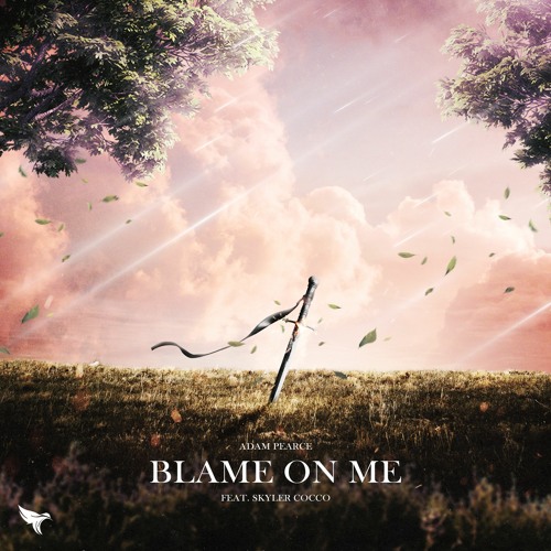 Blame On Me (ft. Skyler Cocco)