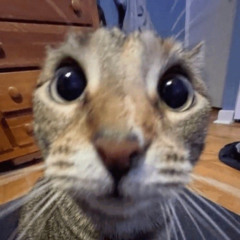 leave me alone baby