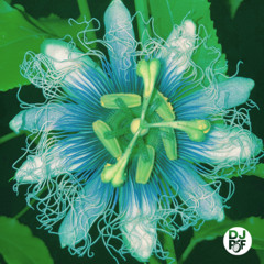 Audiosynthesis @ LALIN'S - The Merger of Plants and Sound