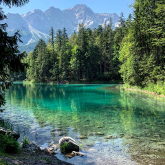 Природа никогда не судит