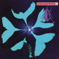 Crystal Clear (LP Version)