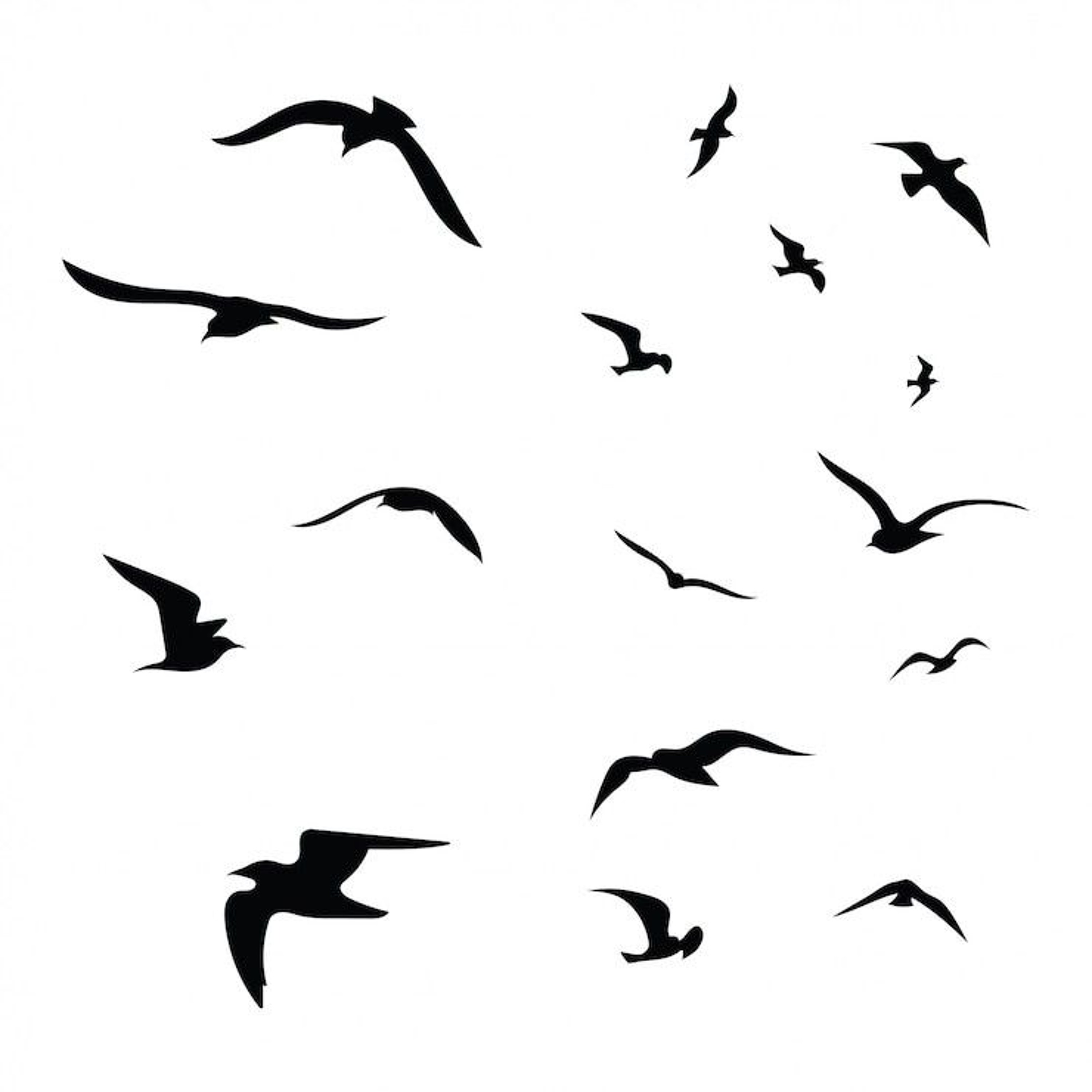 birdwalk episode artwork