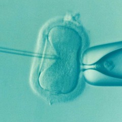 Episode 18: Fertility - Artificial Insemination