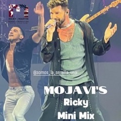 Ricky Mini Mix