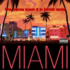 She Wanna Touch It In MIAMI Remix
