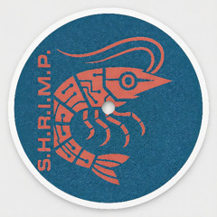 Zumo - Fool Me Once (Original Mix)