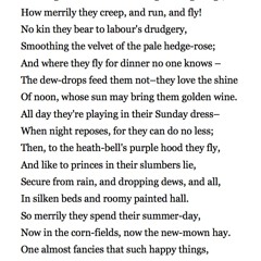 573 Insects by John Clare