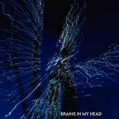 BRAINS IN MY HEAD CRAZY