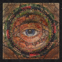 Entrance to Ilumination Nation