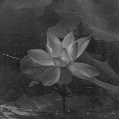 kinka - godflower [reupload]