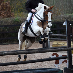 Children Vs. Roses (David Guetta Mashup)