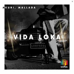Akuri, Mallada - Vida Loka (Extended Mix)