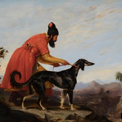 Dog Of Egypt