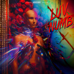 LUV Numb