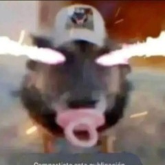 busquem comer cimento