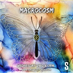 Macrocosm June Edition