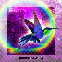 BIRDNEST #095 | Overwhelmed by an Unusual Fate | Podcast by The Lahar