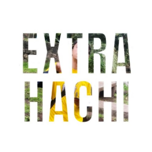extra hachi