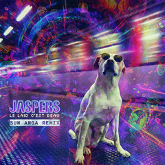 Le laid c'est beau (Sun Anga Remix)