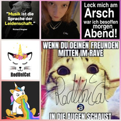 Der Hamster Steckt Auch In Dir 🚨🎶🤫